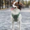 image:imageBest Pet Supplies  All Weather MeshPlush Reflective No Pull Harness for Small Medium Dogs Cats  Secure with Hook amp Loop Fastener Buckle Double DRings  PinkBlack Trim MHarness Moss Green