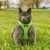 image:imageBest Pet Supplies  All Weather MeshPlush Reflective No Pull Harness for Small Medium Dogs Cats  Secure with Hook amp Loop Fastener Buckle Double DRings  PinkBlack Trim MHarness Lime Green 2Tone