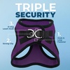 image:imageBest Pet Supplies  All Weather MeshPlush Reflective No Pull Harness for Small Medium Dogs Cats  Secure with Hook amp Loop Fastener Buckle Double DRings  PinkBlack Trim MHarness PurpleBlack Trim