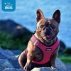 image:imageBest Pet Supplies  All Weather MeshPlush Reflective No Pull Harness for Small Medium Dogs Cats  Secure with Hook amp Loop Fastener Buckle Double DRings  PinkBlack Trim MHarness Fuchsia 2Tone
