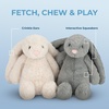 image:imageBest Pet Supplies Squeaky Dog Toys with Soft Durable Fabric for Small Medium and Large Pets Interactive Toy for Indoor Play Supports Active Biting and Play  4 Figures MediumBunny Beige