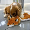 image:imageBest Pet Supplies Squeaky Dog Toys with Soft Durable Fabric for Small Medium and Large Pets Interactive Toy for Indoor Play Supports Active Biting and Play  4 Figures MediumBrownFox
