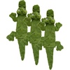 image:imageBest Pet Supplies Squeaky Dog Toys with Soft Durable Fabric for Small Medium and Large Pets Interactive Toy for Indoor Play Supports Active Biting and Play  4 Figures MediumGreenAlligator