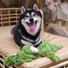 image:imageBest Pet Supplies Squeaky Dog Toys with Soft Durable Fabric for Small Medium and Large Pets Interactive Toy for Indoor Play Supports Active Biting and Play  4 Figures MediumWild Duck  Hare  Squirrel  Alligator