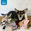 image:imageBest Pet Supplies Squeaky Dog Toys with Soft Durable Fabric for Small Medium and Large Pets Interactive Toy for Indoor Play Supports Active Biting and Play  4 Figures MediumMulticolorRaccoon  Fox
