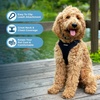 image:imageBest Pet Supplies Voyager Adjustable Stepin Flex Breathable Mesh Dog Harness for Small Medium Large Dogs Moss Green SHarness Leash Set Black