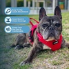 image:imageBest Pet Supplies Voyager Adjustable Stepin Flex Breathable Mesh Dog Harness for Small Medium Large Dogs Moss Green SHarness Leash Set Red