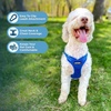 image:imageBest Pet Supplies Voyager Adjustable Stepin Flex Breathable Mesh Dog Harness for Small Medium Large Dogs Moss Green SHarness Leash Set Royal Blue