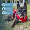 image:imageBest Pet Supplies Voyager Adjustable Stepin Flex Breathable Mesh Dog Harness for Small Medium Large Dogs Moss Green SHarness Red