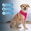image:imageBest Pet Supplies Voyager Aerolite Over the Head Dog Harness No Pull Breathable Air Mesh Vest Quick Dry with Reflective Stitching Adjustable Escape Resistant Harness  Blue LargeFuchsia