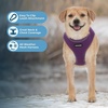 image:imageBest Pet Supplies Voyager Aerolite Over the Head Dog Harness No Pull Breathable Air Mesh Vest Quick Dry with Reflective Stitching Adjustable Escape Resistant Harness  Blue LargePurple