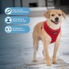 image:imageBest Pet Supplies Voyager Aerolite Over the Head Dog Harness No Pull Breathable Air Mesh Vest Quick Dry with Reflective Stitching Adjustable Escape Resistant Harness  Blue LargeRed