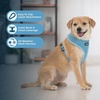 image:imageBest Pet Supplies Voyager Aerolite Over the Head Dog Harness No Pull Breathable Air Mesh Vest Quick Dry with Reflective Stitching Adjustable Escape Resistant Harness  Blue LargeBlue