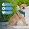 image:imageBest Pet Supplies Voyager Aerolite Over the Head Dog Harness No Pull Breathable Air Mesh Vest Quick Dry with Reflective Stitching Adjustable Escape Resistant Harness  Blue LargeTurquoise