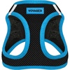 Harness (Black/Blue Trim)