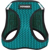 Harness (Turquoise 2-Tone)