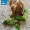 image:imageBest Pet Supplies Squeaky Dog Toys with Soft Durable Fabric for Small Medium and Large Pets Interactive Toy for Indoor Play Supports Active Biting and Play  Bunny Bunny Duck SmallBrown Snow Leopard