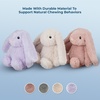 image:imageBest Pet Supplies Squeaky Dog Toys with Soft Durable Fabric for Small Medium and Large Pets Interactive Toy for Indoor Play Supports Active Biting and Play  Bunny Bunny Duck SmallBunny Purple