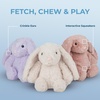 image:imageBest Pet Supplies Squeaky Dog Toys with Soft Durable Fabric for Small Medium and Large Pets Interactive Toy for Indoor Play Supports Active Biting and Play  Bunny Bunny Duck SmallBunny Purple