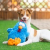 image:imageBest Pet Supplies Squeaky Dog Toys with Soft Durable Fabric for Small Medium and Large Pets Interactive Toy for Indoor Play Supports Active Biting and Play  Bunny Bunny Duck SmallMrs Cluck Blue