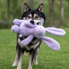 image:imageBest Pet Supplies Squeaky Dog Toys with Soft Durable Fabric for Small Medium and Large Pets Interactive Toy for Indoor Play Supports Active Biting and Play  Bunny Bunny Duck SmallBunny Purple