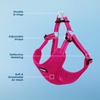 image:imageBest Pet Supplies Voyager Adjustable Stepin Flex Breathable Mesh Dog Harness for Small Medium Large Dogs Leash Set Moss Green MHarness Fuchsia