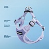 image:imageBest Pet Supplies Voyager Adjustable Stepin Flex Breathable Mesh Dog Harness for Small Medium Large Dogs Leash Set Moss Green MHarness Lavender