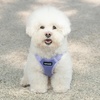 image:imageBest Pet Supplies Voyager Adjustable Stepin Flex Breathable Mesh Dog Harness for Small Medium Large Dogs Leash Set Moss Green MHarness Lavender