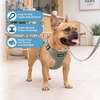 image:imageBest Pet Supplies Voyager Adjustable Stepin Flex Breathable Mesh Dog Harness for Small Medium Large Dogs Leash Set Moss Green MHarness Leash Set Moss Green