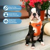 image:imageBest Pet Supplies Voyager Adjustable Stepin Flex Breathable Mesh Dog Harness for Small Medium Large Dogs Leash Set Moss Green MHarness Leash Set Orange