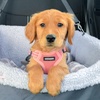 image:imageBest Pet Supplies Voyager Adjustable Stepin Flex Breathable Mesh Dog Harness for Small Medium Large Dogs Leash Set Moss Green MHarness Pink