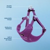 image:imageBest Pet Supplies Voyager Adjustable Stepin Flex Breathable Mesh Dog Harness for Small Medium Large Dogs Leash Set Moss Green MHarness Purple