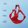image:imageBest Pet Supplies Voyager Adjustable Stepin Flex Breathable Mesh Dog Harness for Small Medium Large Dogs Leash Set Moss Green MHarness Red