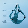 image:imageBest Pet Supplies Voyager Adjustable Stepin Flex Breathable Mesh Dog Harness for Small Medium Large Dogs Leash Set Moss Green MHarness Turquoise