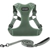 Harness Leash Set (Moss Green)