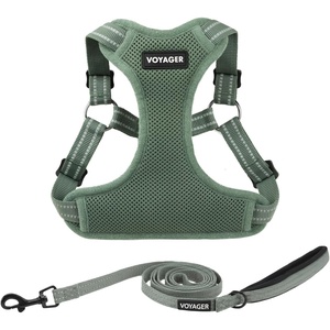 image:imageBest Pet Supplies Voyager Adjustable Stepin Flex Breathable Mesh Dog Harness for Small Medium Large Dogs Leash Set Moss Green MHarness Leash Set Moss Green