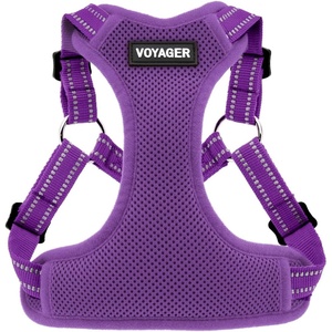 image:imageBest Pet Supplies Voyager Adjustable Stepin Flex Breathable Mesh Dog Harness for Small Medium Large Dogs Leash Set Moss Green MHarness Purple