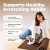 image:imageBest Pet Supplies Catify Cat Scratcher Fun Interactive Scratchers Posts Poles Claw Safe Furniture Saver Indoor Play Support Natural Cat Behaviors Heavy Duty  WhaleBrown Mat  L 78