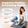 image:imageBest Pet Supplies Catify Cat Scratcher Fun Interactive Scratchers Posts Poles Claw Safe Furniture Saver Indoor Play Support Natural Cat Behaviors Heavy Duty  WhaleGray Mat  L 39