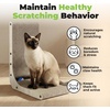 image:imageBest Pet Supplies Catify Cat Scratcher Fun Interactive Scratchers Posts Poles Claw Safe Furniture Saver Indoor Play Support Natural Cat Behaviors Heavy Duty  WhaleLShape  H 19