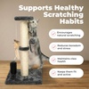 image:imageBest Pet Supplies Catify Cat Scratcher Fun Interactive Scratchers Posts Poles Claw Safe Furniture Saver Indoor Play Support Natural Cat Behaviors Heavy Duty  WhaleGray Scratching Post  H 25