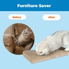 image:imageBest Pet Supplies Catify Cat Scratcher Fun Interactive Scratchers Posts Poles Claw Safe Furniture Saver Indoor Play Support Natural Cat Behaviors Heavy Duty  WhaleWave 2 Pack