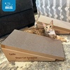 image:imageBest Pet Supplies Catify Cat Scratcher Fun Interactive Scratchers Posts Poles Claw Safe Furniture Saver Indoor Play Support Natural Cat Behaviors Heavy Duty  WhaleSlope 2 Pack