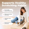 image:imageBest Pet Supplies Catify Cat Scratcher Fun Interactive Scratchers Posts Poles Claw Safe Furniture Saver Indoor Play Support Natural Cat Behaviors Heavy Duty  WhaleBeige Mat  L 39