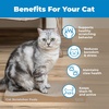 image:imageBest Pet Supplies Catify Cat Scratcher Fun Interactive Scratchers Posts Poles Claw Safe Furniture Saver Indoor Play Support Natural Cat Behaviors Heavy Duty  WhaleWave 2 Pack