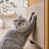image:imageBest Pet Supplies Catify Cat Scratcher Fun Interactive Scratchers Posts Poles Claw Safe Furniture Saver Indoor Play Support Natural Cat Behaviors Heavy Duty  WhaleBeige Mat  L 39