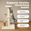 image:imageBest Pet Supplies Catify Cat Scratcher Fun Interactive Scratchers Posts Poles Claw Safe Furniture Saver Indoor Play Support Natural Cat Behaviors Heavy Duty  WhaleBeige Scratching Post  H 33