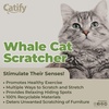 image:imageBest Pet Supplies Catify Cat Scratcher Fun Interactive Scratchers Posts Poles Claw Safe Furniture Saver Indoor Play Support Natural Cat Behaviors Heavy Duty  WhaleWhale